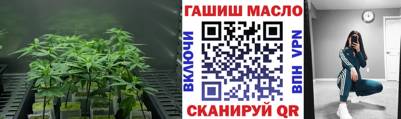 Дистиллят ТГК вейп с тгк  shop официальный сайт  Тутаев 