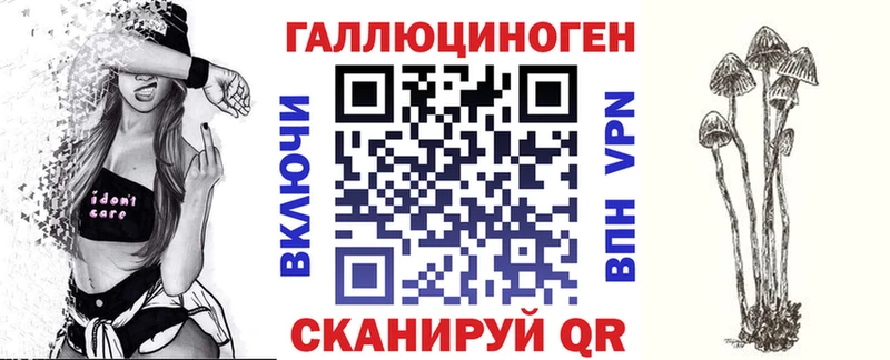 Псилоцибиновые грибы Psilocybe  магазин продажи   гидра как зайти  Тутаев 